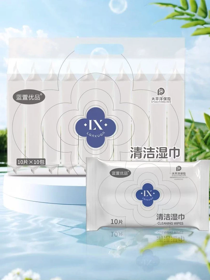 蓝萱优品清洁消毒湿巾清洁湿巾湿纸巾便携成提10包大提湿巾实惠款