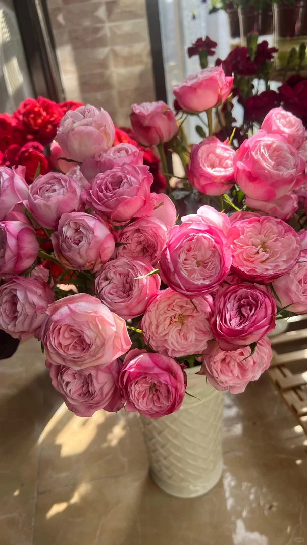 【花汀私享】草莓蛋糕-稀有多头玫瑰（注意带包装醒花哦~）