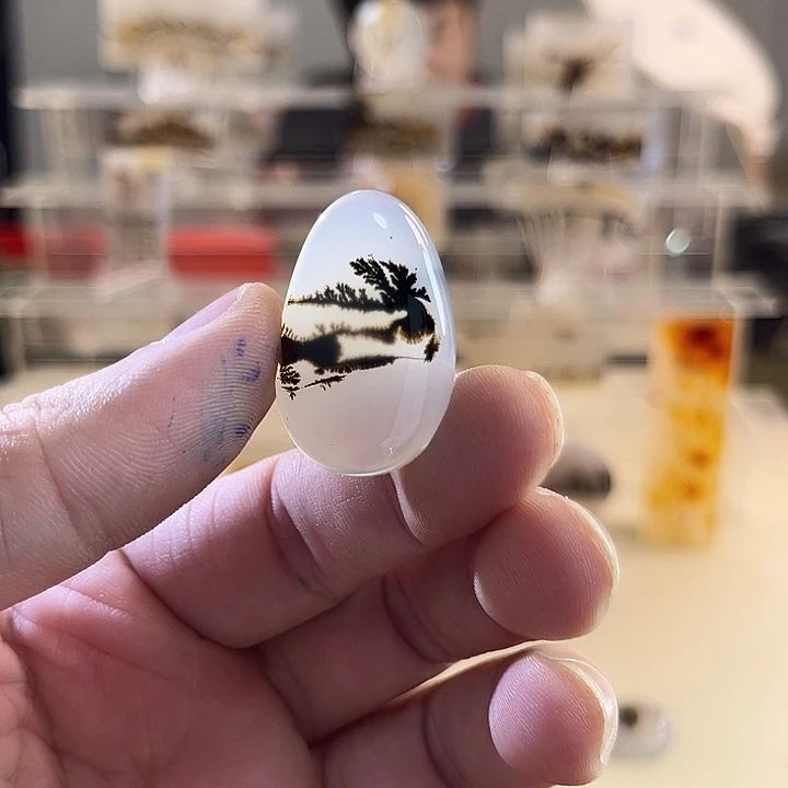 未镶嵌吊坠(不含链)玛瑙/玉髓
