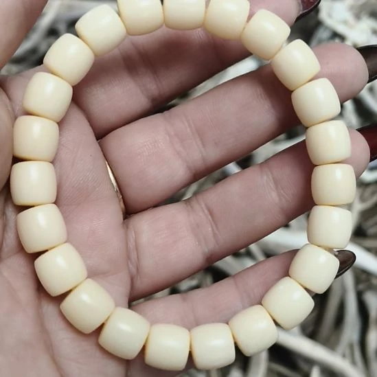 鹿角鹿角鹿角鹿角鹿角鹿角