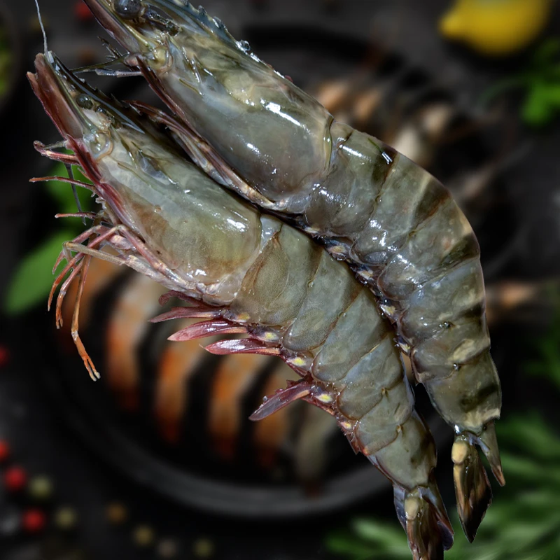 黑虎虾新鲜速冻 优选8-12规格1.5kg/盒肉质鲜嫩紧实