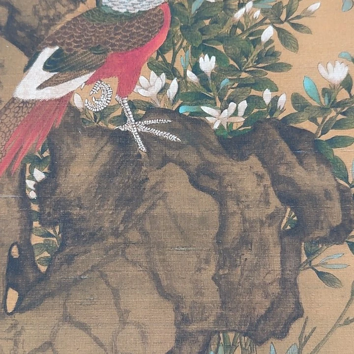 用****4花鸟图，花鸟图挂画