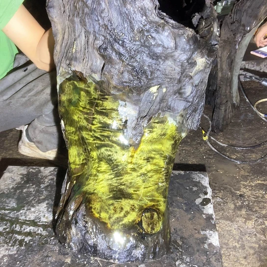 一***金丝楠阴沉木毛料