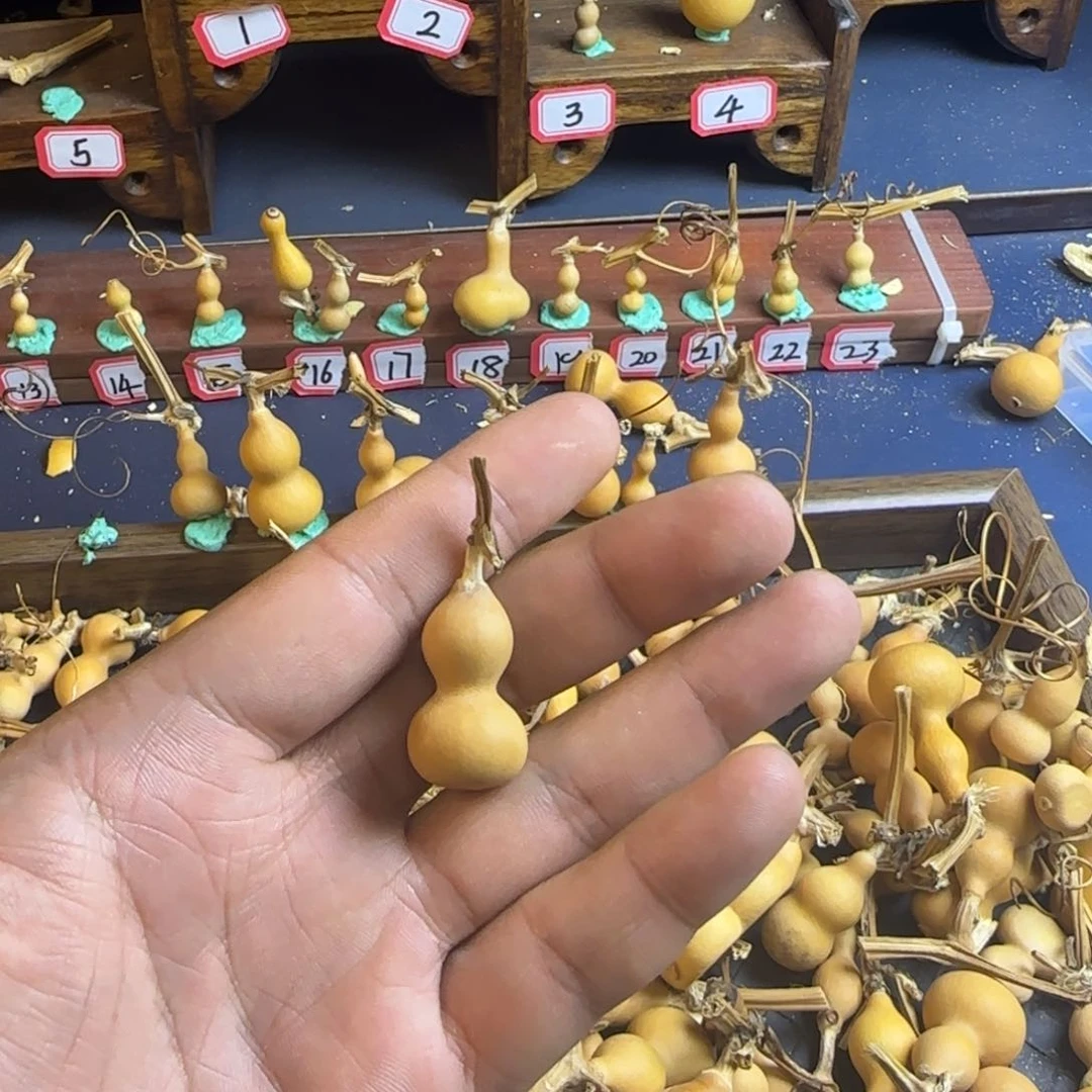 忘****了我也是很喜欢这个节目的呢