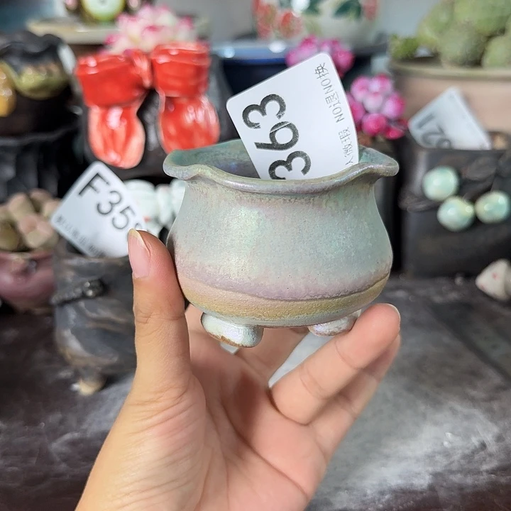 重庆小燕子欢迎大家363