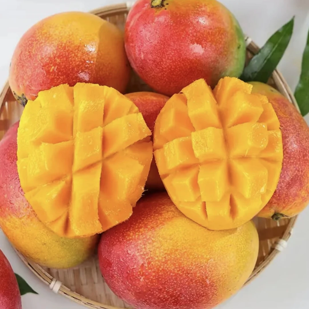 ZB【爆甜爽口】正宗攀枝花彩虹芒果催熟放软好吃非苹果芒澳芒凯特芒