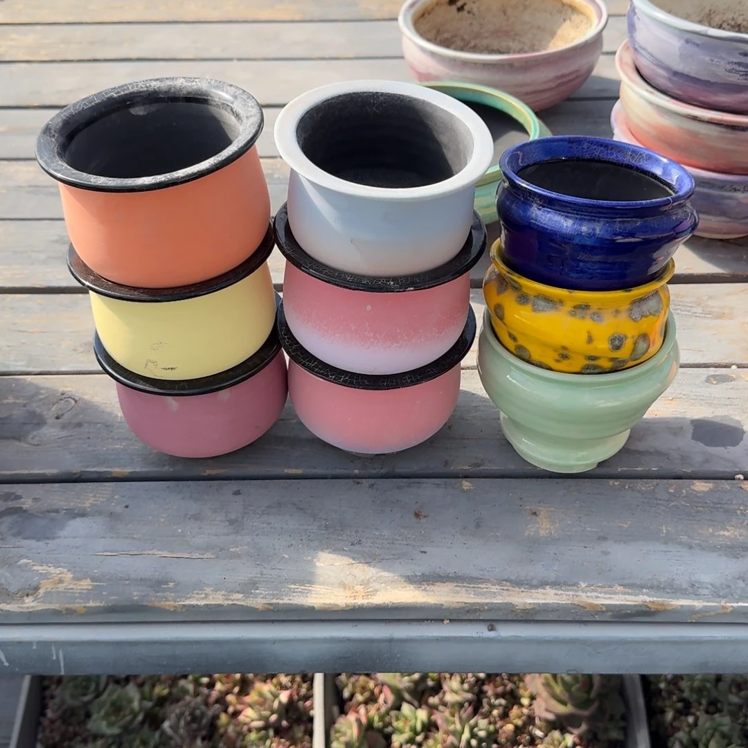 随****从前慢多肉精选编号1222.164三组盆