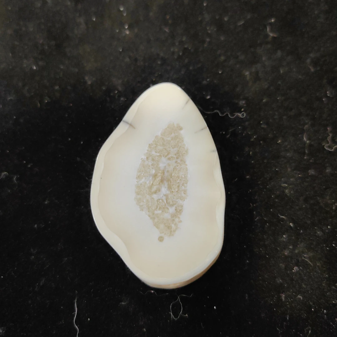 猛犸猛犸虬饼子WT348