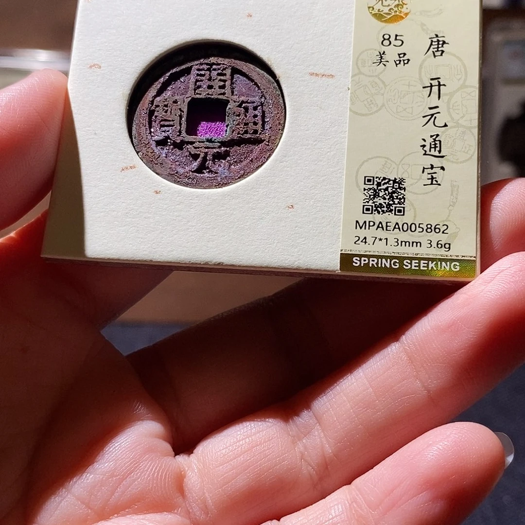 贝壳4 恭喜发财恭喜发财