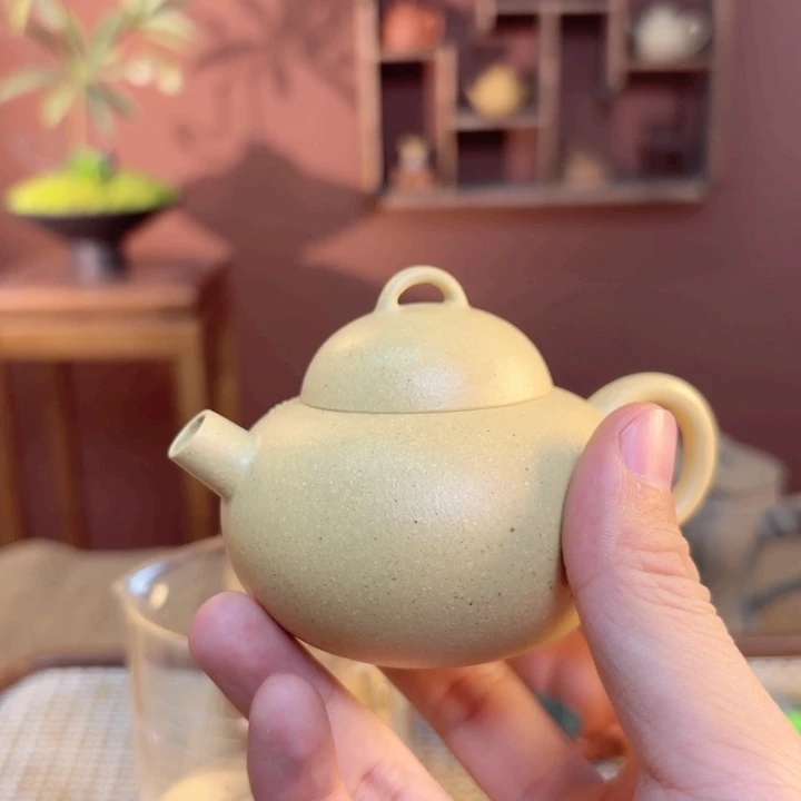 紫砂茶壶紫砂我做的