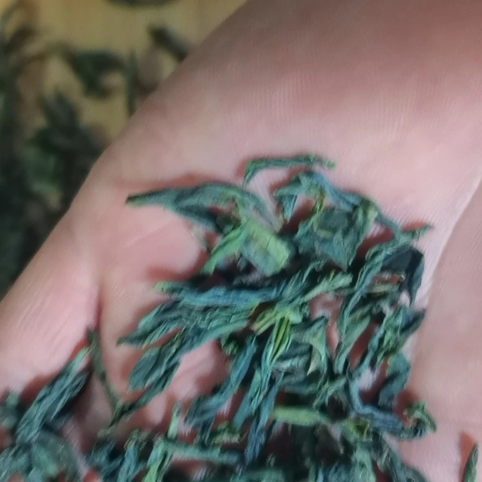 红石湾2025六安瓜片雨前六安瓜片绿茶一级礼盒装