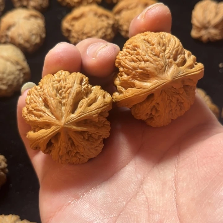 文玩核桃大粗筋41