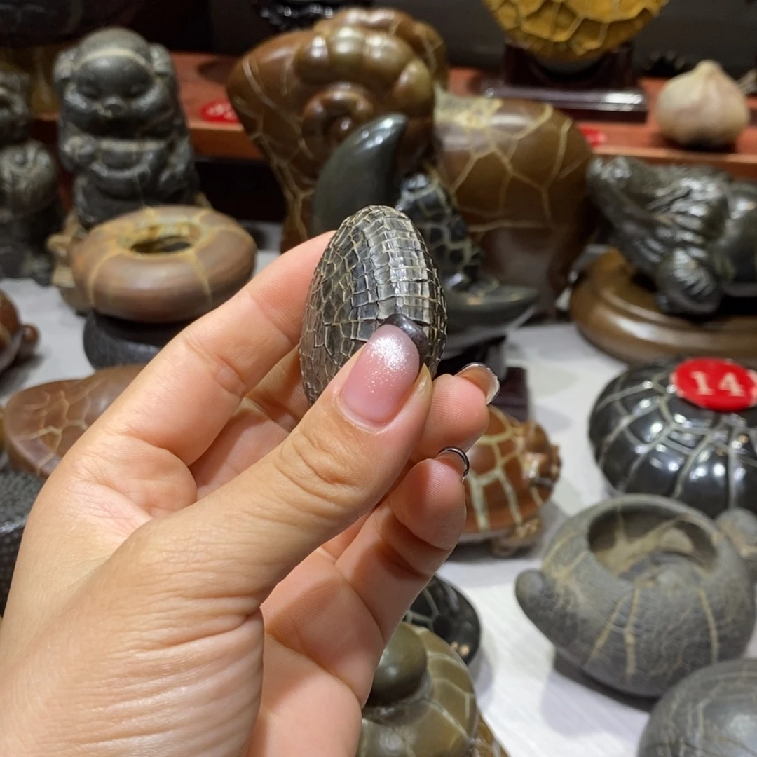 阳***牌龟纹石原产地直播