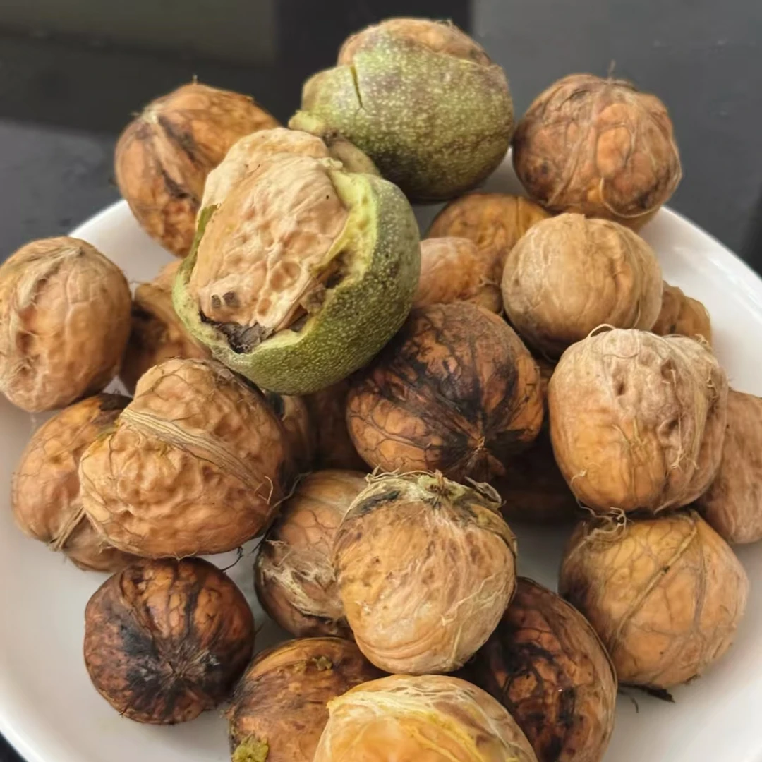 宜启高原新鲜核桃鲜去皮核桃（送夹子）