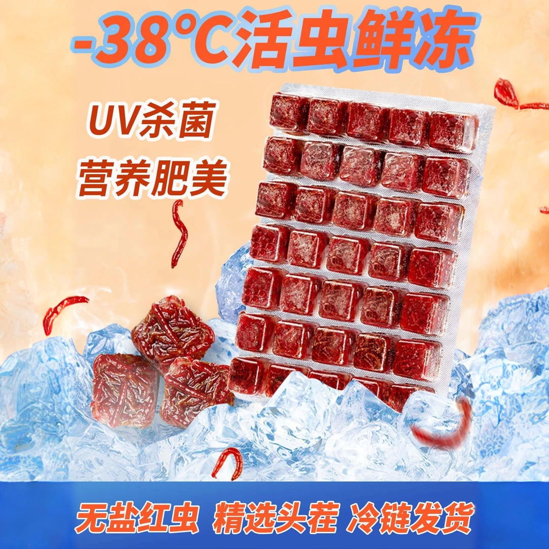 丰年虾卵红虫冰冻成虫灯科鱼孔雀鱼丰年虾赤虫冷冻鱼饲料凤尾鱼食