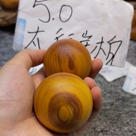 柏木（崖柏）崖柏53