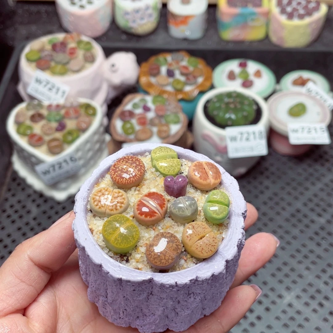 w7219 -零下地区拍保温箱-15支持寄养