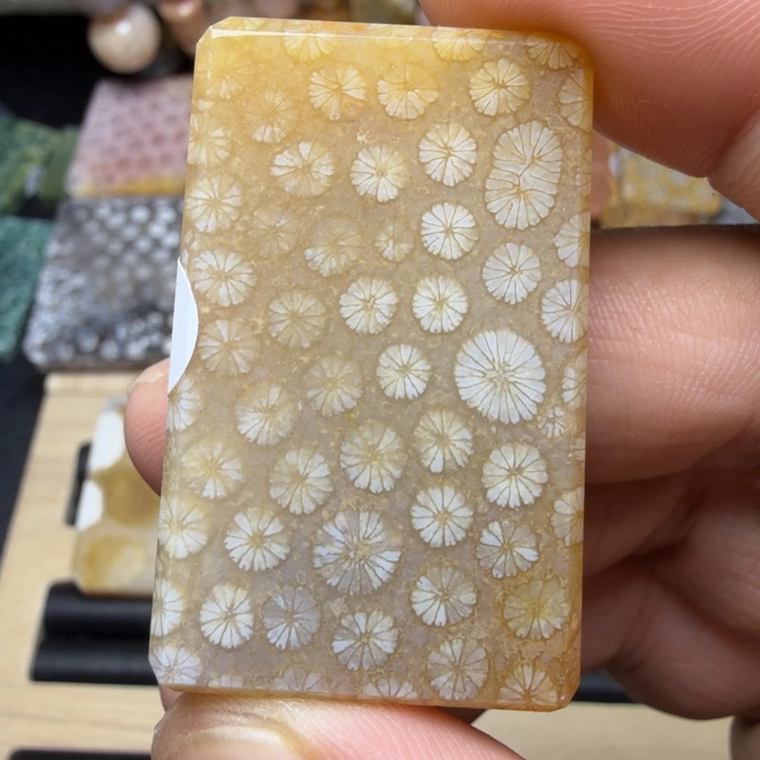 硅化玉未镶嵌纯天然色有机玉石保真色
