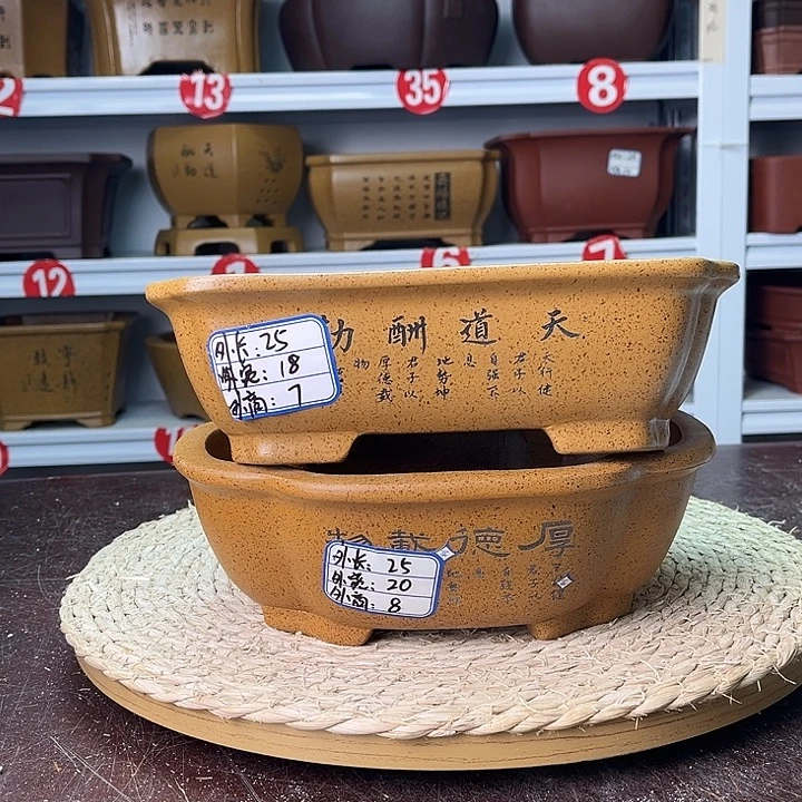 花盆紫砂你在一起