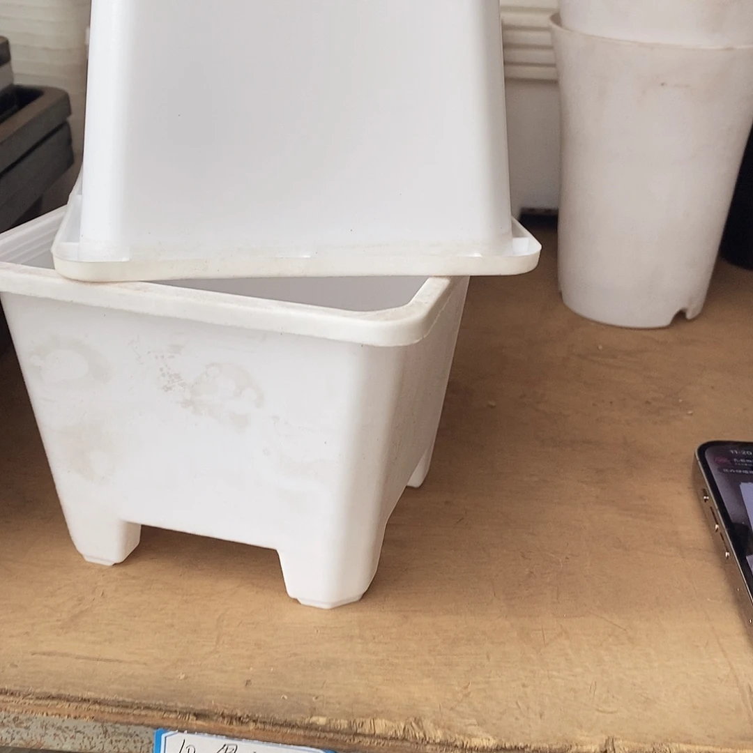 塑料新12公分白方盆加厚定制款 20个