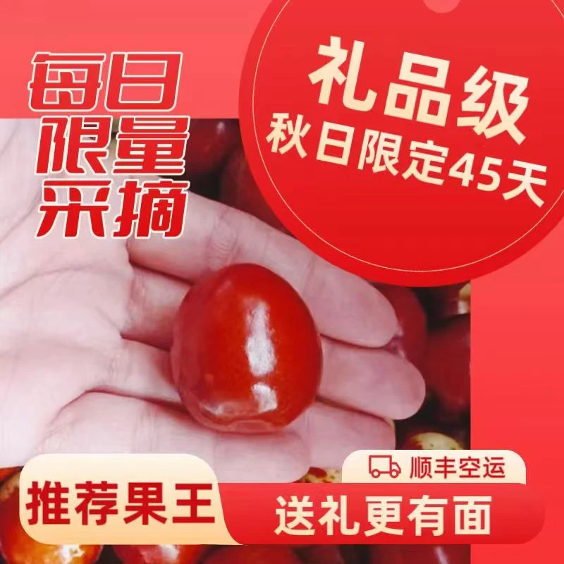【省内小糖球】北票上园正宗金丝大枣朝阳大枣