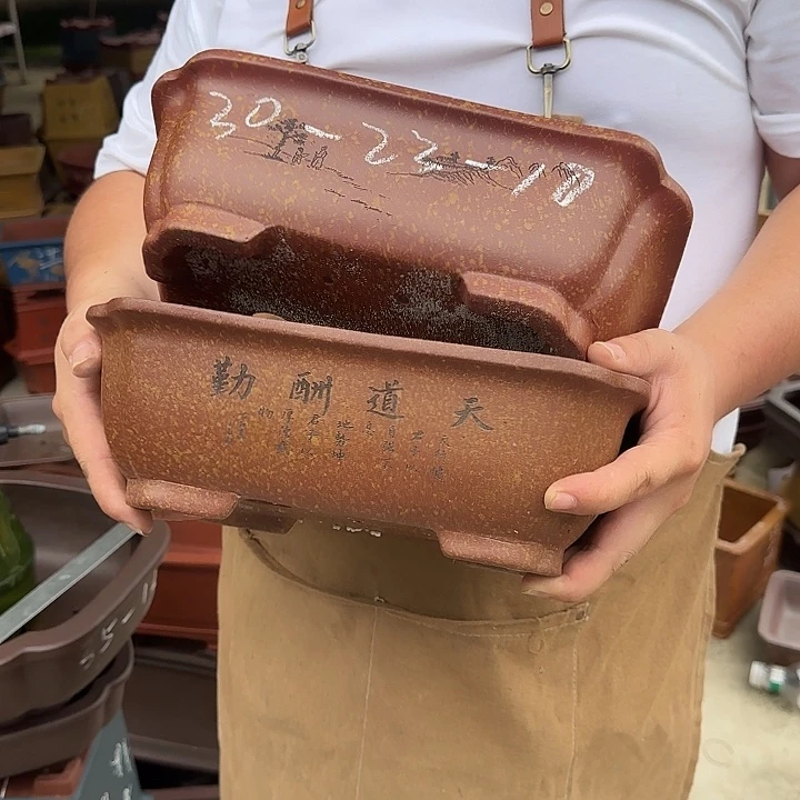 这是什么神仙爱情