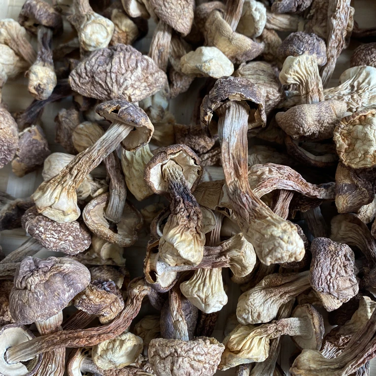 唐阿妹山货现收—姬，松，茸菌菇山货