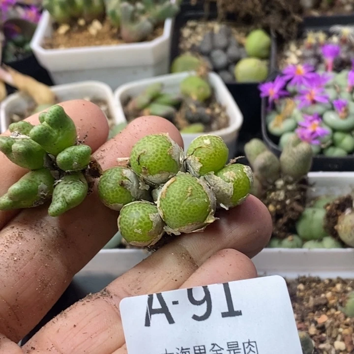 嗨***呦2686999999989988980