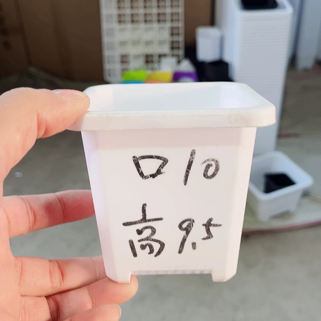 塑料升级款景天10方白色盆15个无托