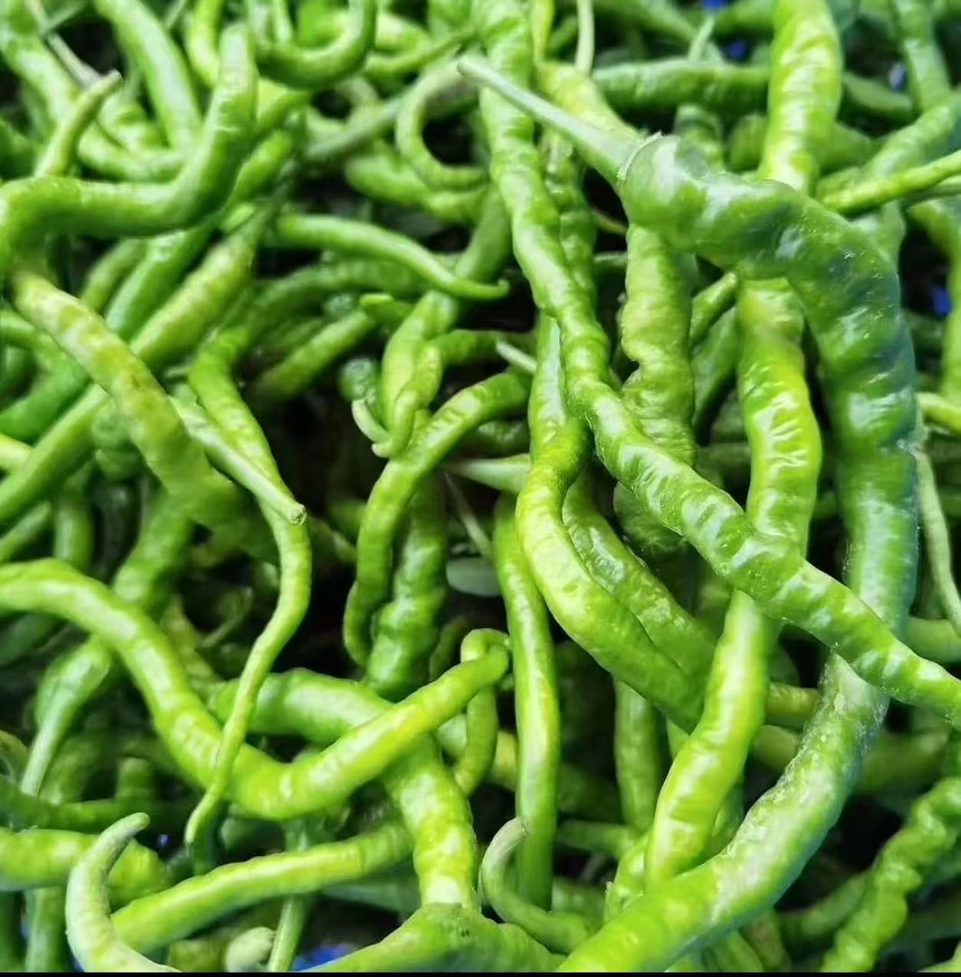 湖南本地秋辣椒3斤（顺丰包邮）