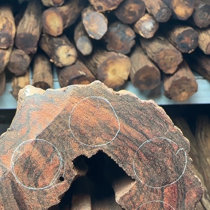 木安**物降真香开料直播间