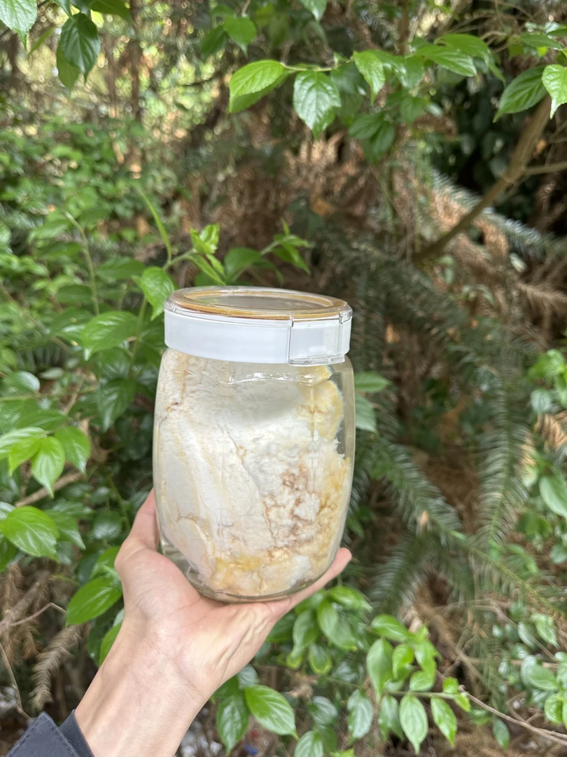 A【天-然-石-太-岁】净含量50g-1500g【万万现收】