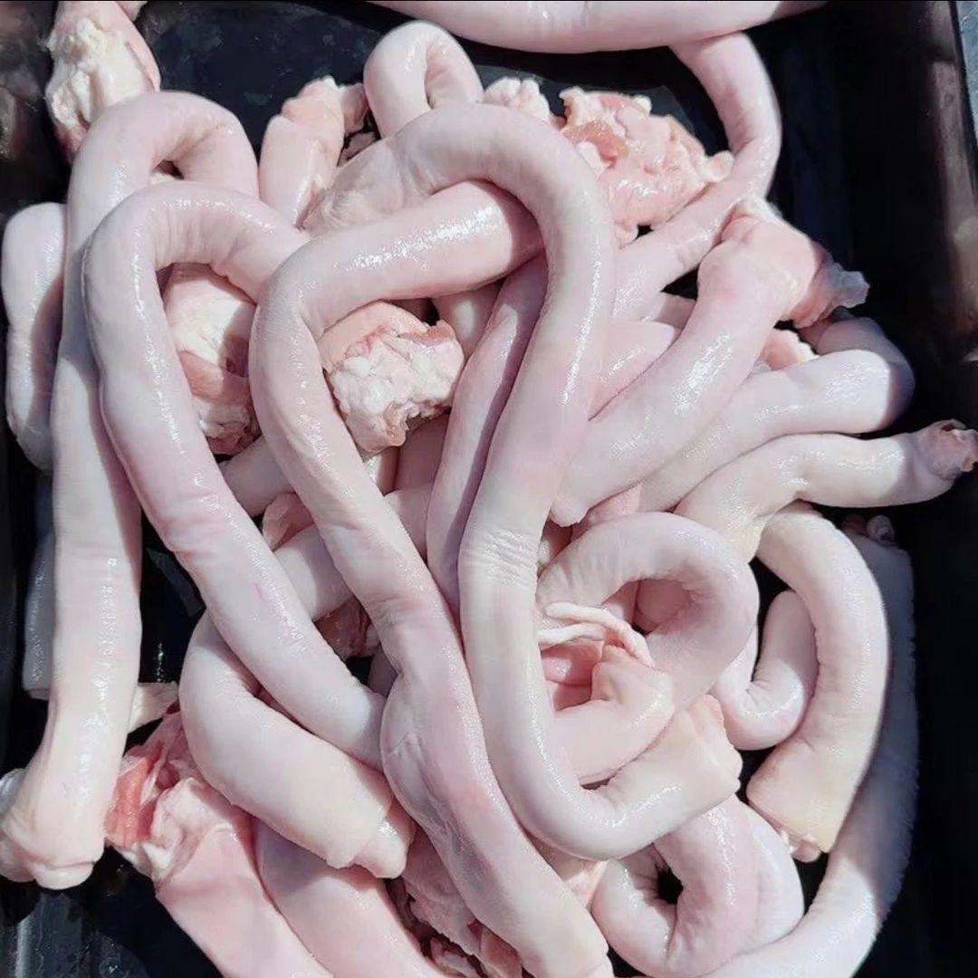 猪肚头整根生鲜新鲜猪肚红烧囱煮食材5斤顺丰包邮新鲜鲜冻肚芯