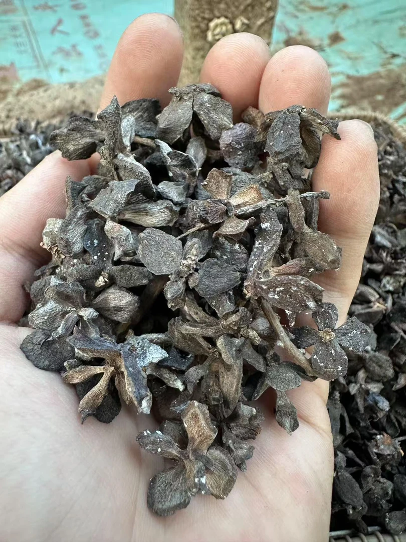 风化松柏腐叶土养花绿植多肉种菜酸性疏松营养土花卉蔬菜兰花专用