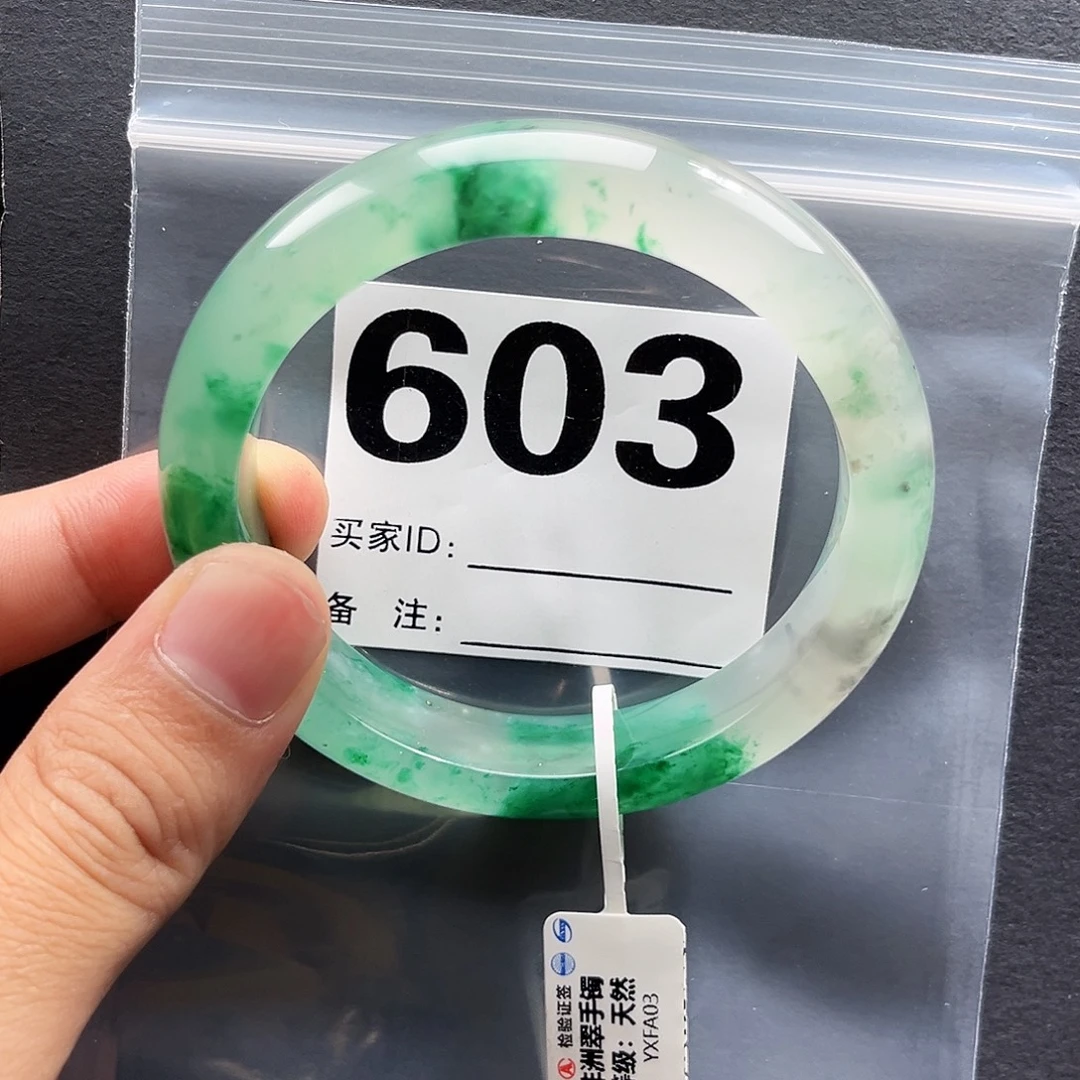 未镶嵌手镯石英质玉（非洲翠）603圈口58