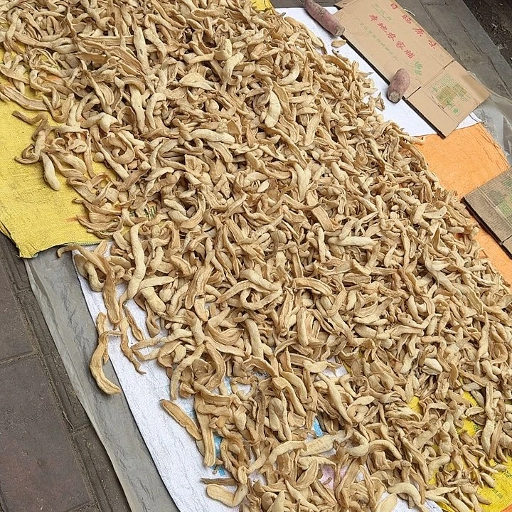 中国大陆菜咸十斤