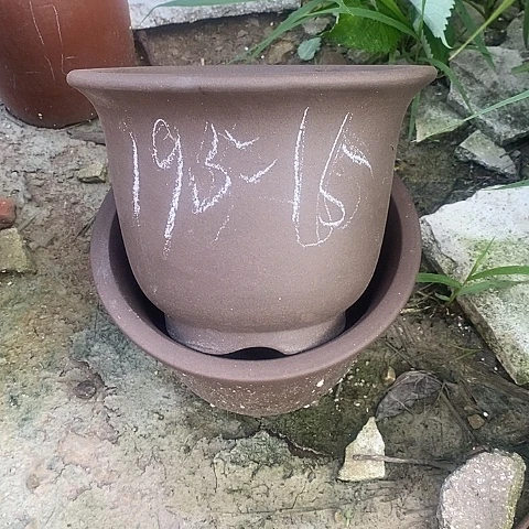 中国宜兴紫砂花盆，