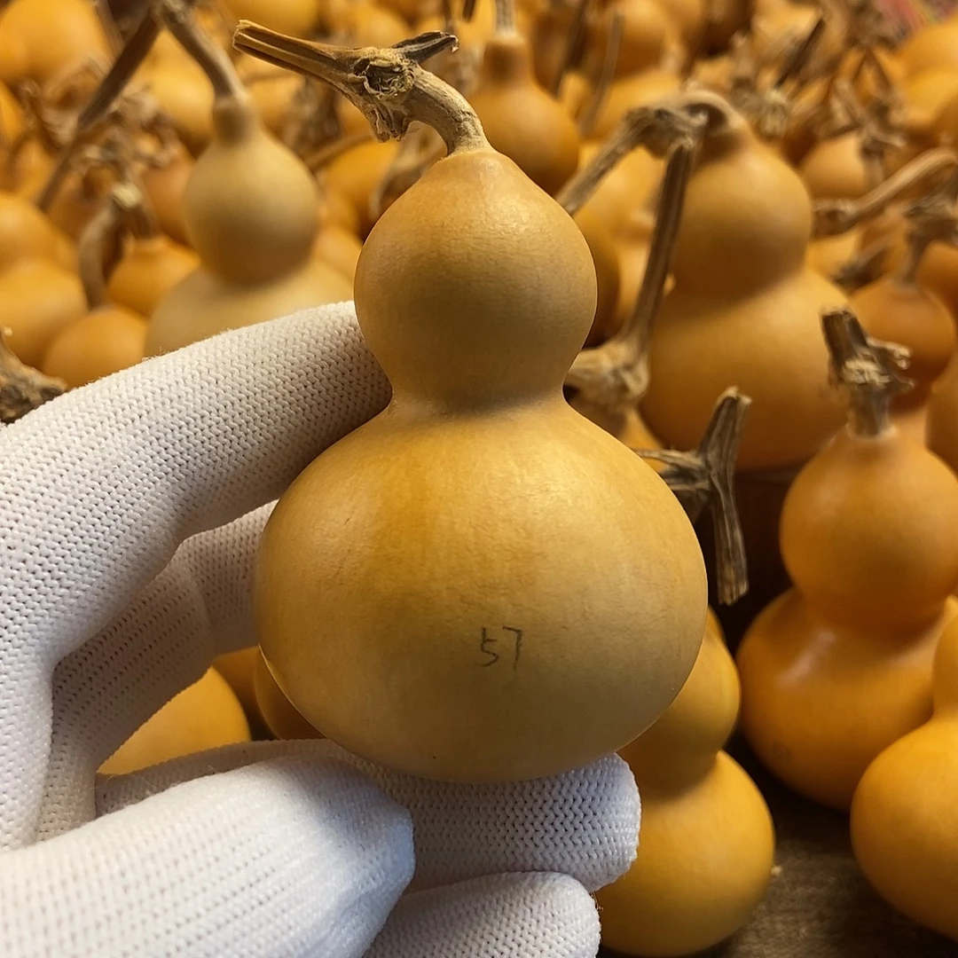 文玩葫芦 完美主义者 慎拍57