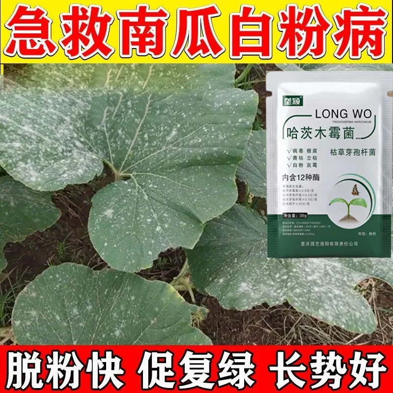 南瓜白粉病专用抑菌剂肥料白霜叶子白点白斑霜霉花叶卷叶病害菌清