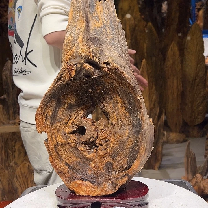 松木（琥珀木）爱*