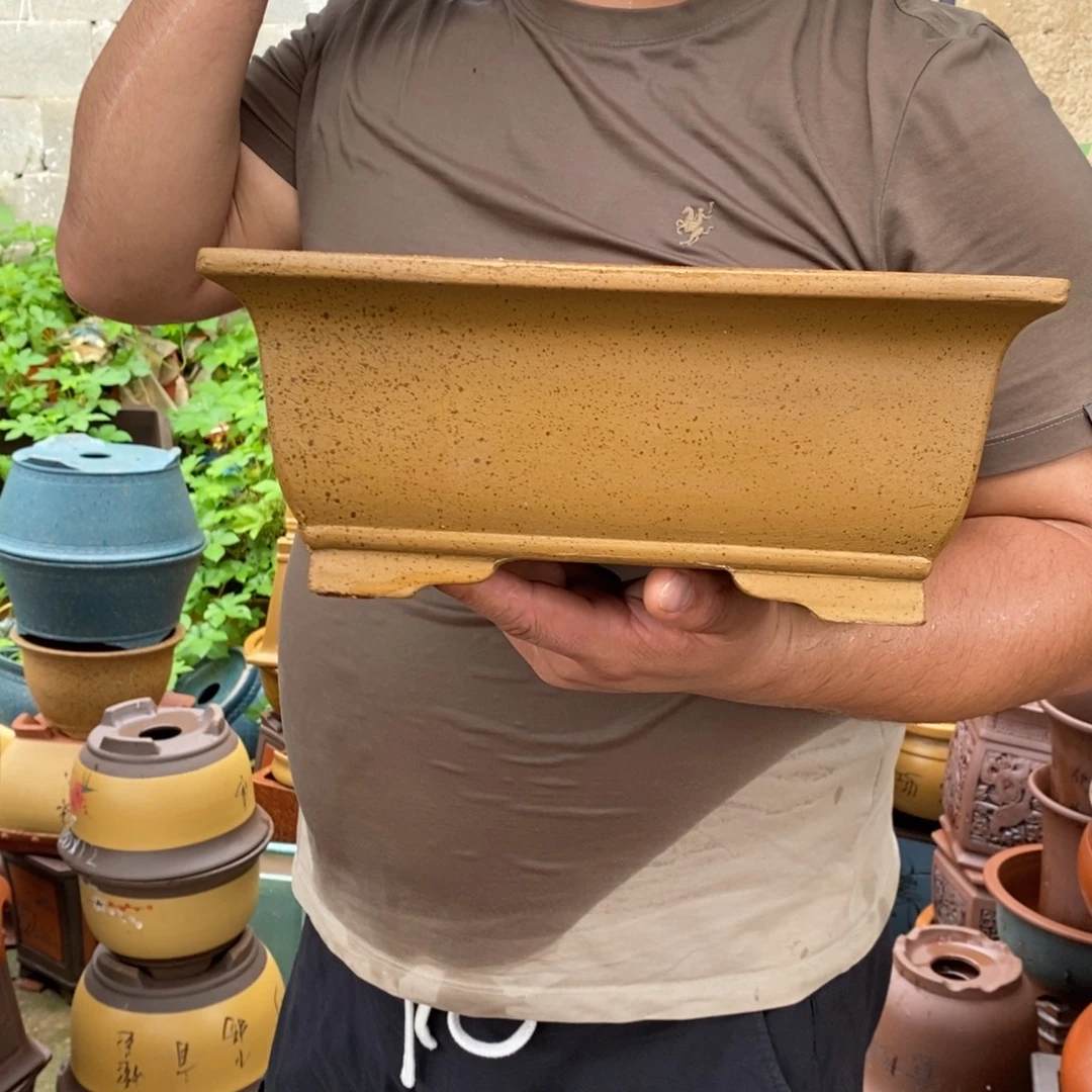 亲爱的老婆我爱你们