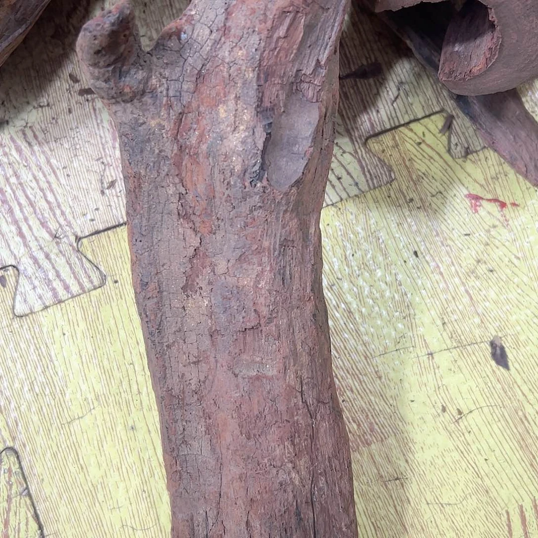 黄花梨/降香黄檀肆*海南黄花梨