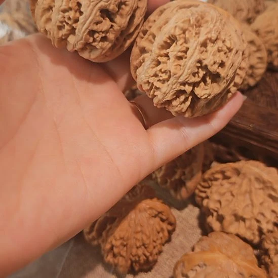 文玩核桃吊坠45+5粗筋