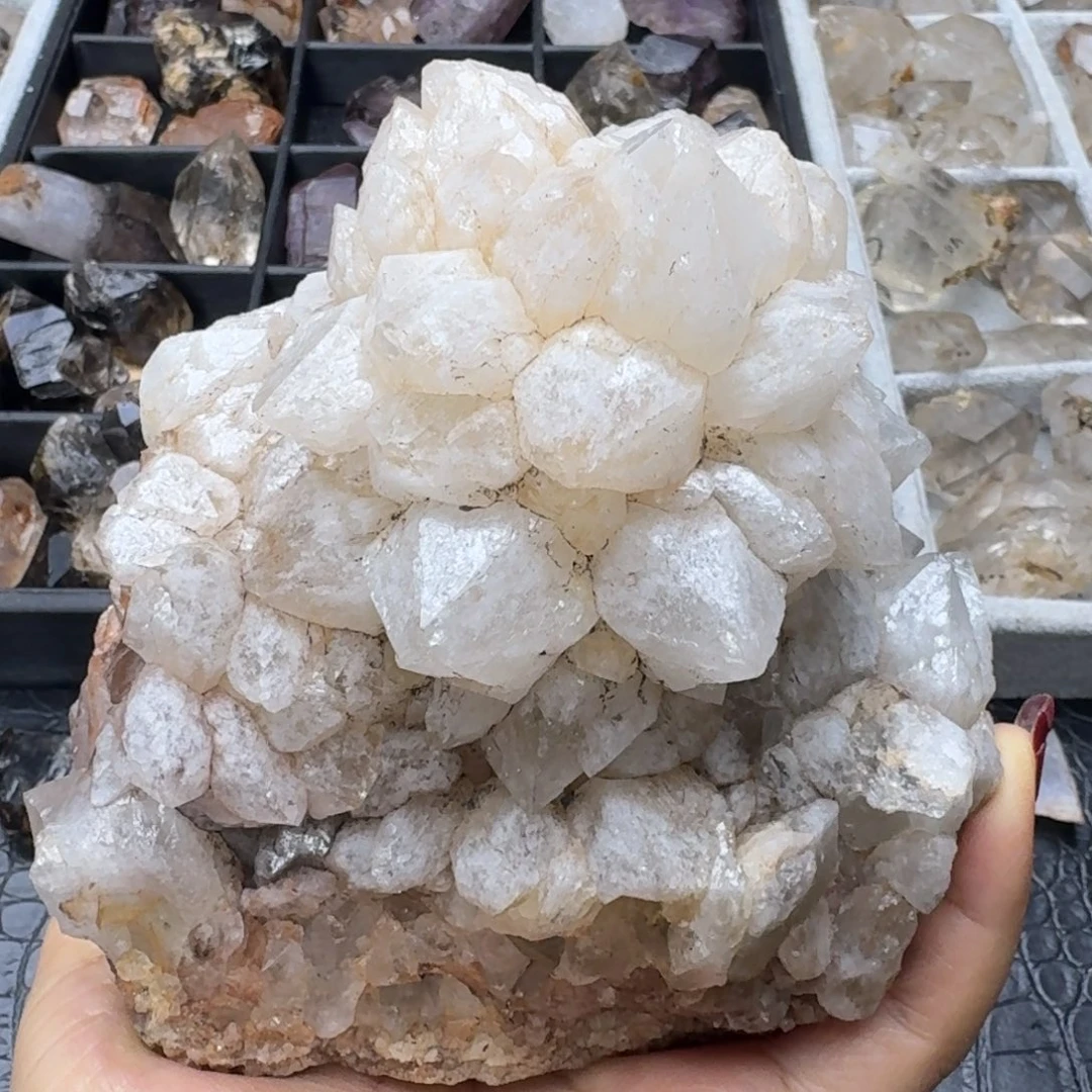 石材马岛骸骨花蔟