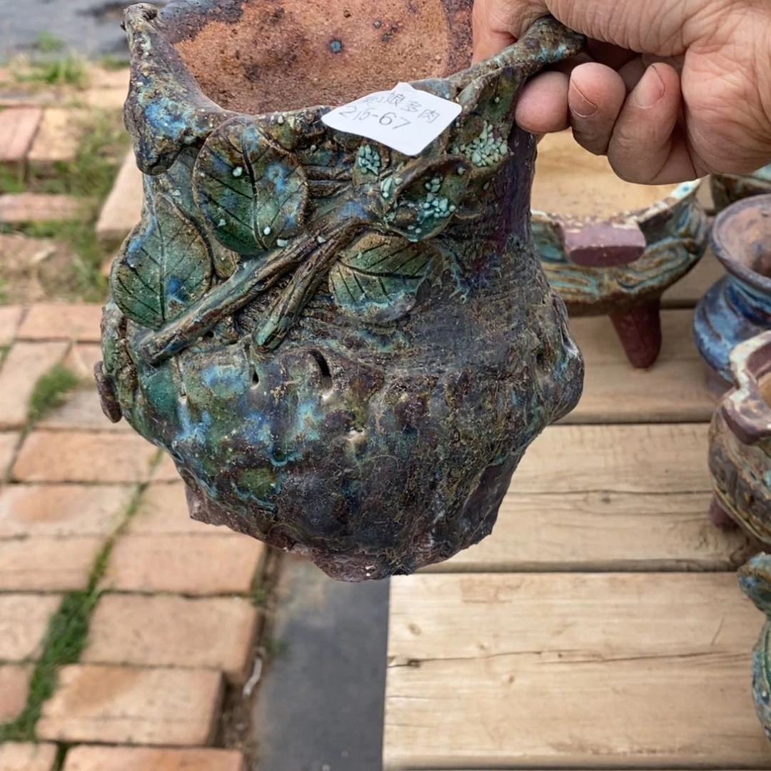 红陶秋*67号多肉盆一个呀