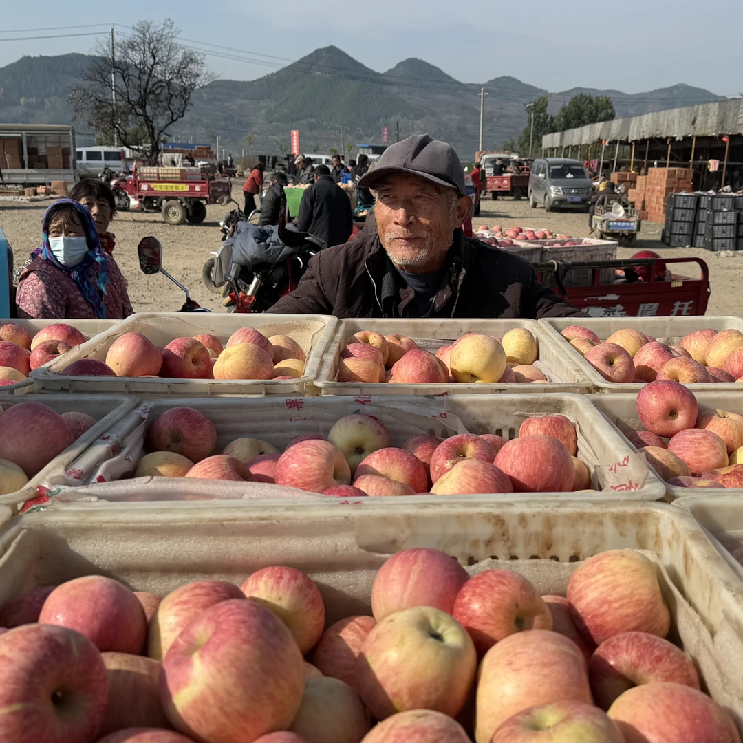 山东沂源红富士苹果 带瑕疵