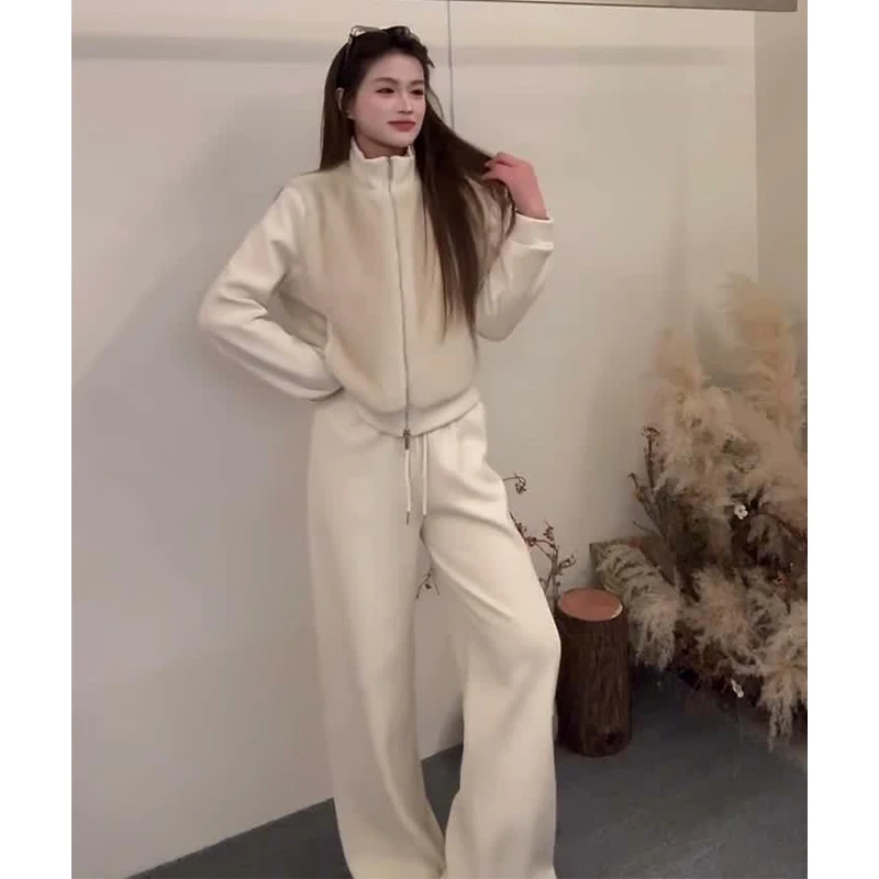 实体档口运动休闲套装女韩版时尚加绒加厚立领卫衣阔腿裤两件套冬