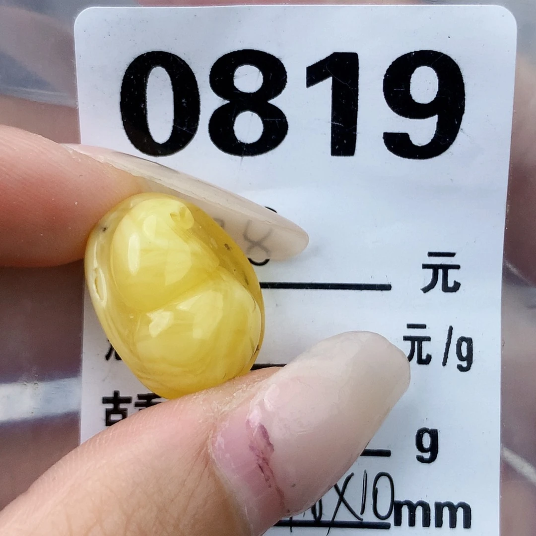 琥珀未镶嵌珠宝奇石15×19.6×10植物，坑