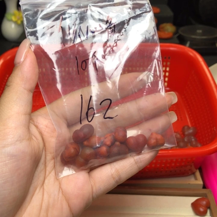 南红玛瑙未镶嵌颈饰倾*角