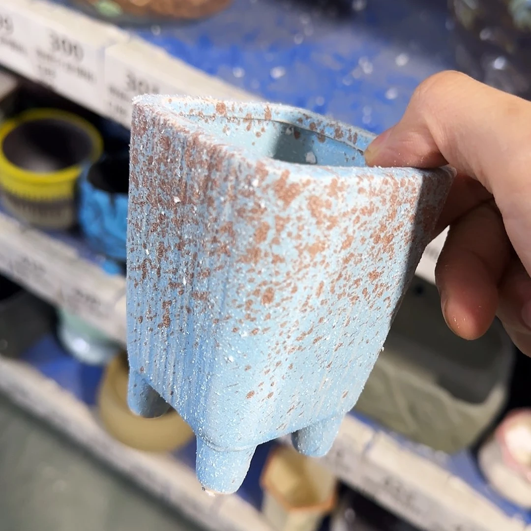 福利局绿植多肉盆［凑9元包邮24小时发］303